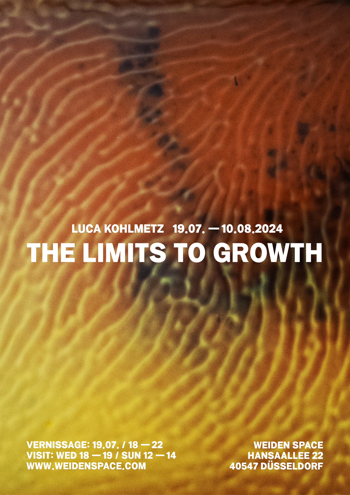 luca kohlmetz - the limits to growth small